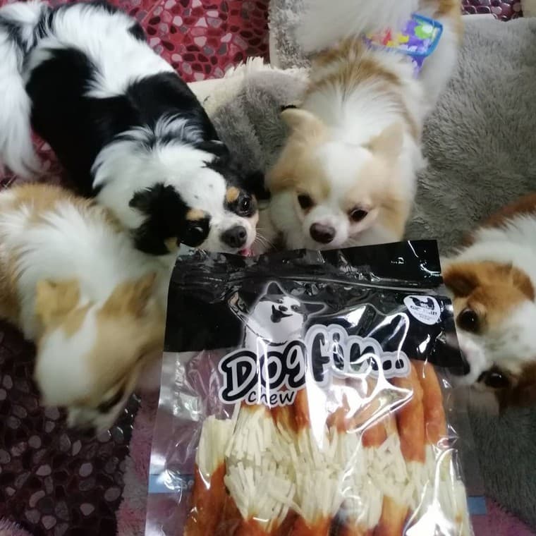 Dogfin ไก่อบแห้งสำหรับน้องหมาทุกสายพันธุ์ รูปที่ 5