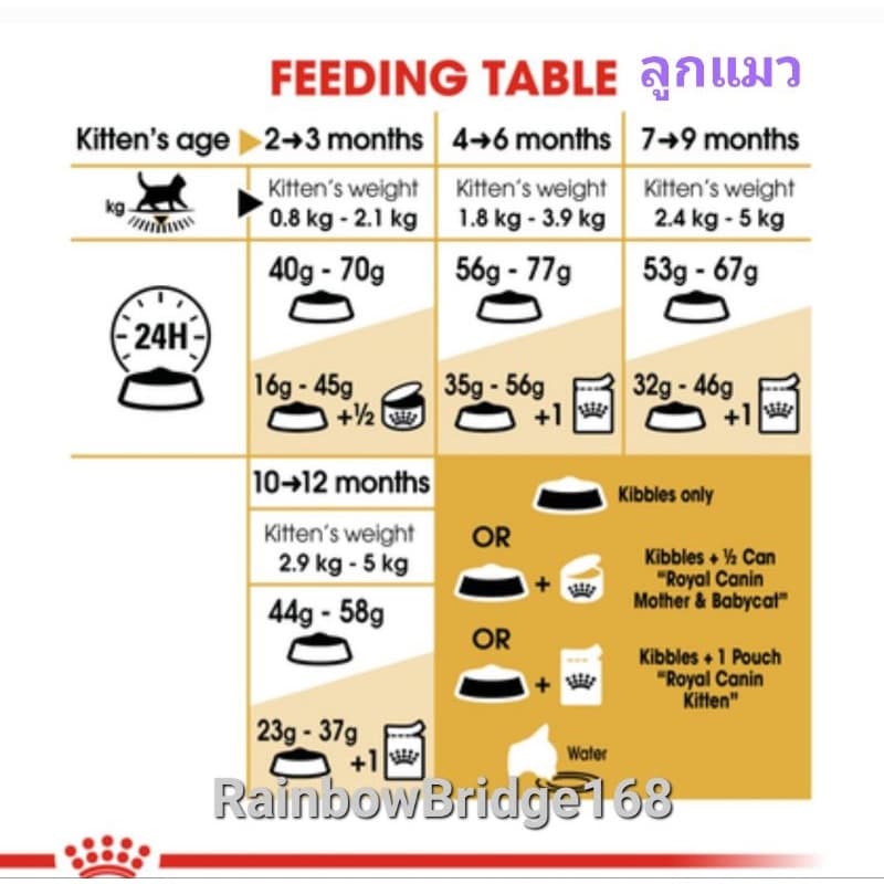 Royal Canin British Shorthair Kitten 2kg โรยัลคานิน ลูกแมวบริติช / British Shorthair Adult 2kg แมวโต ถุง 2 กก. รูปที่ 7