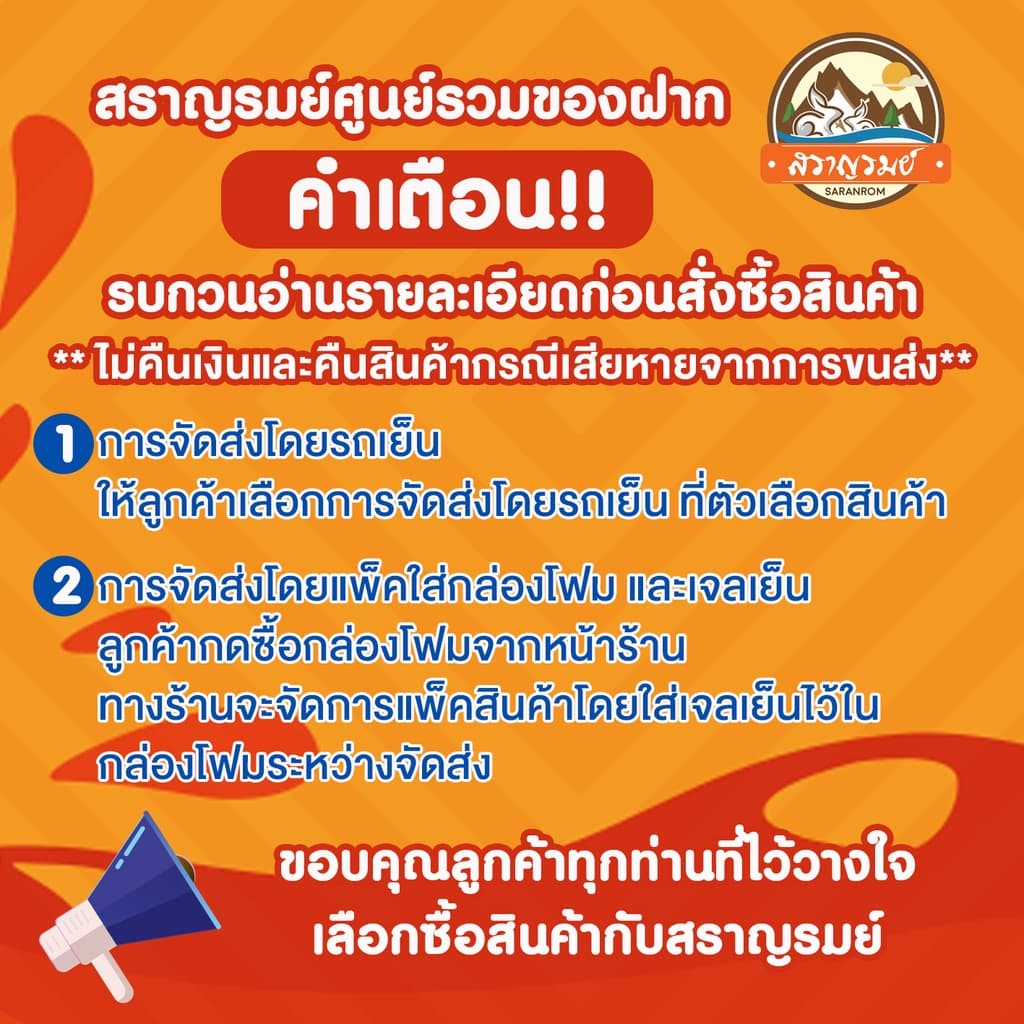 แหนมเนืองวีที 10ไม้ สดใหม่ จัด รูปที่ 8