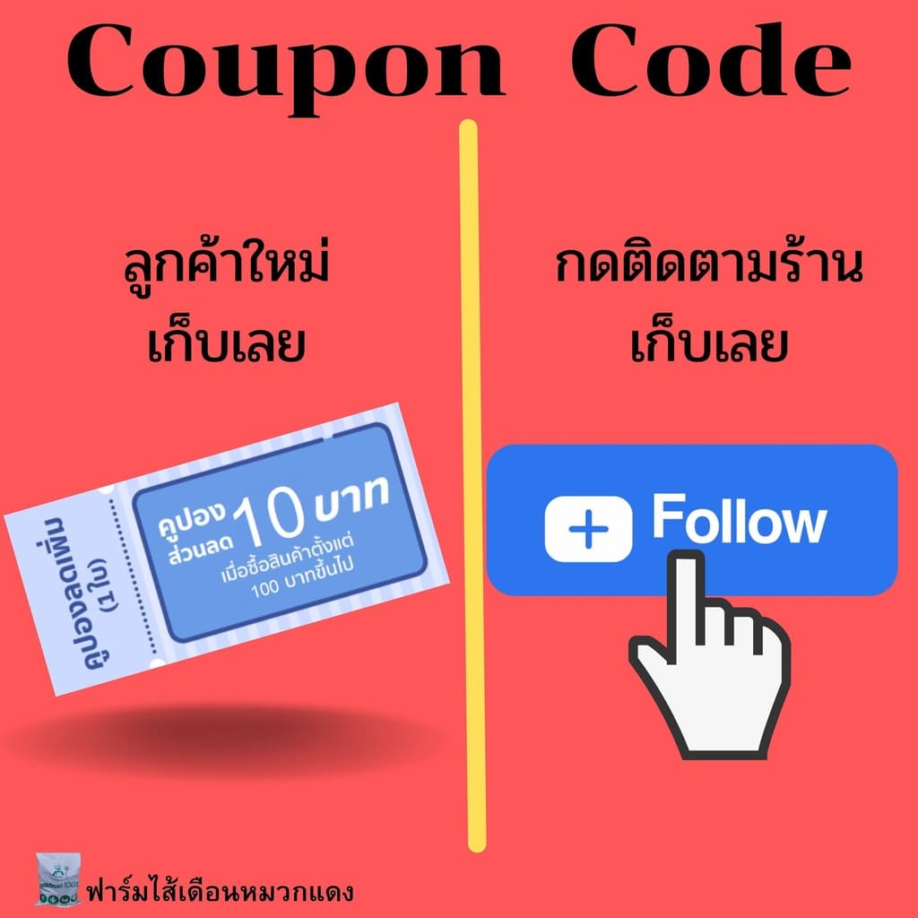 เบดดิ้งเลี้ยงไส้เดือน ปุ๋ยหมัก ขี้วัวนมหมัก ปุ๋ยคอกหมัก ปุ๋ยขี้วัวนม ที่อยู่ไส้เดือน รูปที่ 9