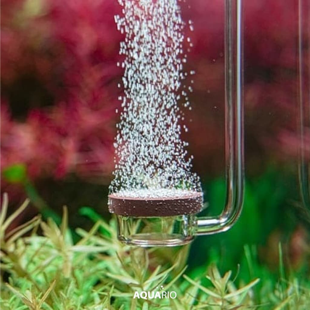 Aquario Neo CO2 Diffuser Normal Special หัวดิฟ CO2 รุ่นดีไซน์แบบแบน ใช้พื้นที่น้อย ไม่เกะพื้นที่ในตู้ รูปที่ 2