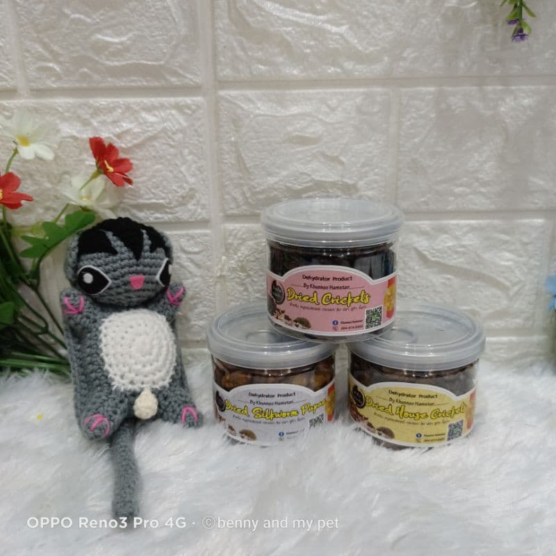 จิ้งหรีดอบแห้ง ด้วงสาคู สะดิ้งอบแห้ง หนอนไหม แมลง อาหารสัตว์เล็ก ชูการ์ไกรเดอร์ เม่นแคระ กระรอก รูปที่ 6