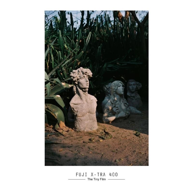 ฟิล์มสี สดใหม่ Fuji 400 รูปที่ 2