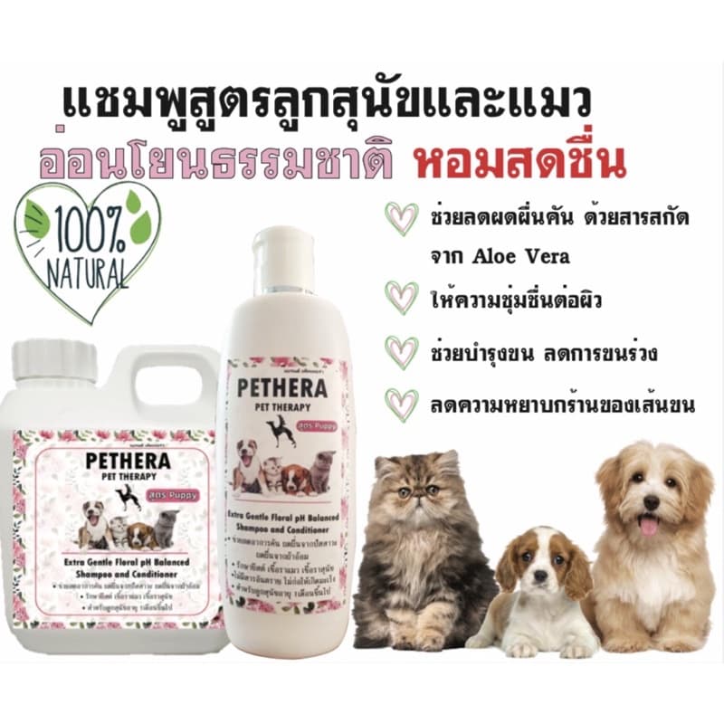 แชมพู Pethera สูตรลูกสุนัข/ลูกแมวผิวแพ้ง่าย เชื้อราสุนัขแมวเด็ก ลดผดผื่นคัน กลากเกลื้อนน้ำนม รูปที่ 2
