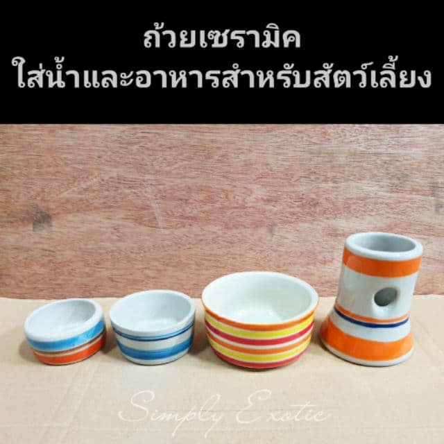 ถ้วยอาหารเซรามิค ที่ตั้งขวดน้ำเซรามิค ชามเซรามิคสำหรับสัตว์เลี้ยง รูปที่ 1