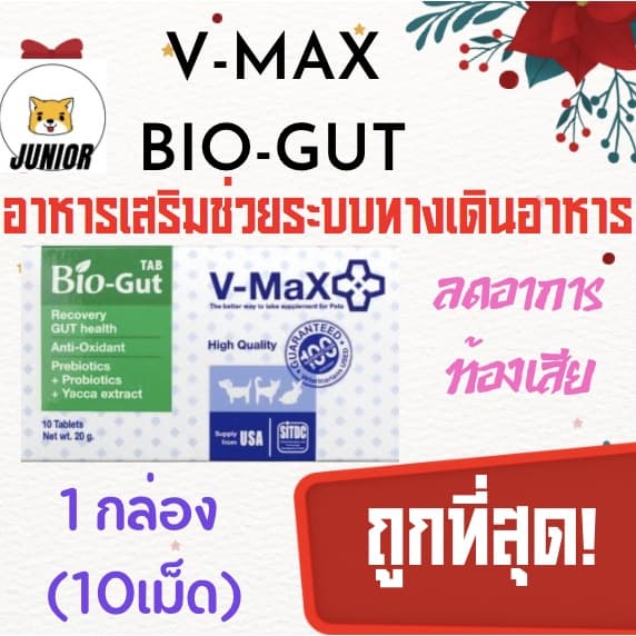 ถูกที่สุด! V-Max Bio-Gut 20g.อาหารเสริม ปรับสมดุลทางเดินอาหาร ใช้ได้กับสัตว์ทุกชนิด รูปที่ 1