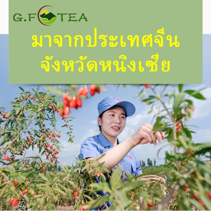 โกจิเบอร์รี่ เก๋ากี้ 宁夏枸杞 100g-500g มีวิตามินซีและสารอินทรีย์อื่น เม็ดใหญ่ เกรดA อบแห้งกินดิบได้ รูปที่ 7