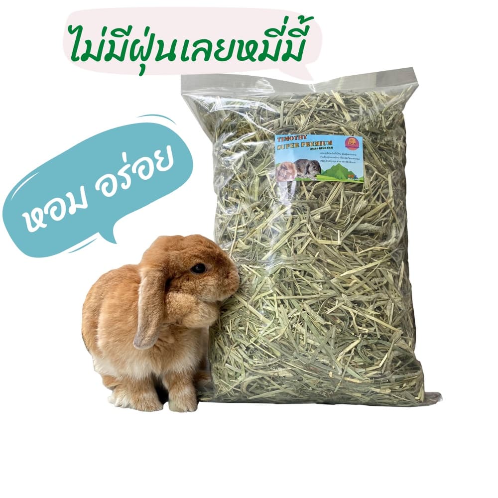 หญ้าทิมโมธีเกรดซุปเปอร์พรีเมี่ยม 400g /1kg ร่อนฝุ่น ดอกเยอะ หอม เขียว หญ้าทิโมธีพรีเมียม รูปที่ 2