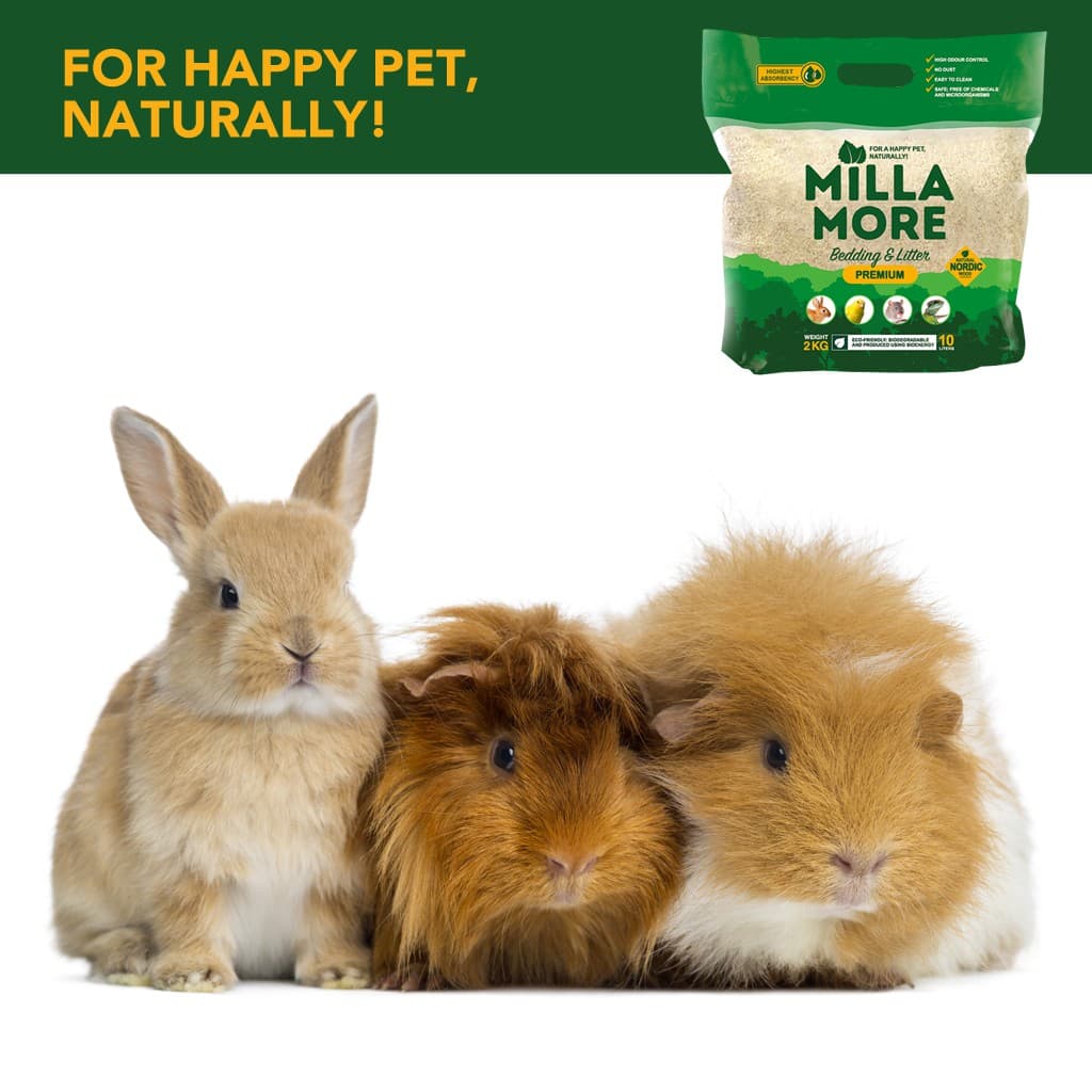 Millamore Premium Bedding 4 Kg / 10kg มิลลามอ รองกรงพรีเมี่ยม รองกรงไม้แอสเพน รองกรงไร้ฝุ่น รูปที่ 5