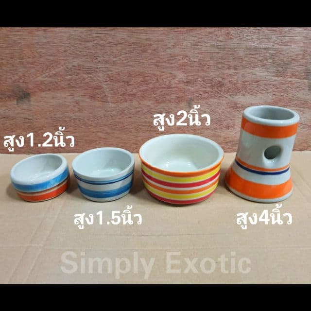 ถ้วยอาหารเซรามิค ที่ตั้งขวดน้ำเซรามิค ชามเซรามิคสำหรับสัตว์เลี้ยง รูปที่ 3