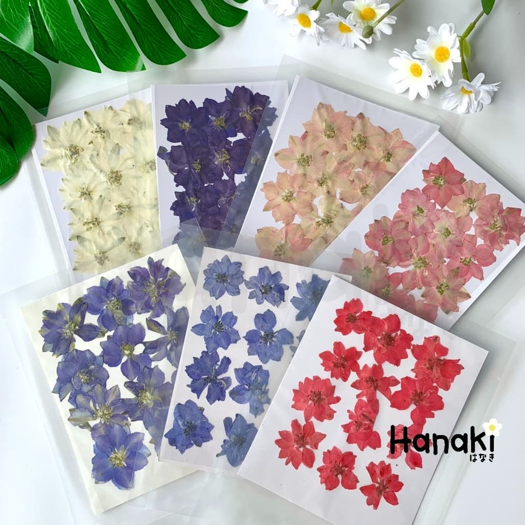 ดอกเดลฟินเนียมทับแห้ง ดอกไม้จริงทับแห้ง ดอกไม้ทับแห้ง Pressed Flowers รูปที่ 2