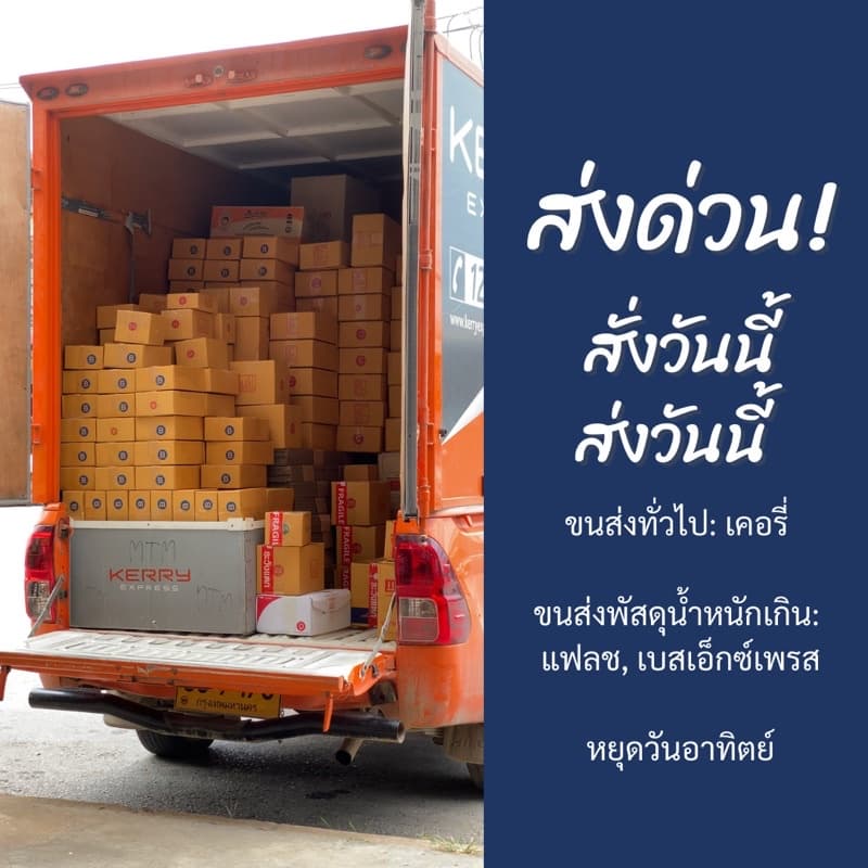 แม็กนีเซียม เข้าสี สร้างคลอโรฟิล แมมมอท แม็กนีเซียม 1ลิตร รูปที่ 4