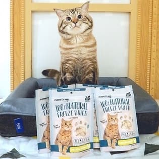 Purrfect Paw อกไก่ฟรีซดราย 100% ขนมแมวฟรีซดราย ดีต่อสุขภาพ บำรุงขน ขนมแมวไม่เค็ม Freeze dried แมว รูปที่ 6