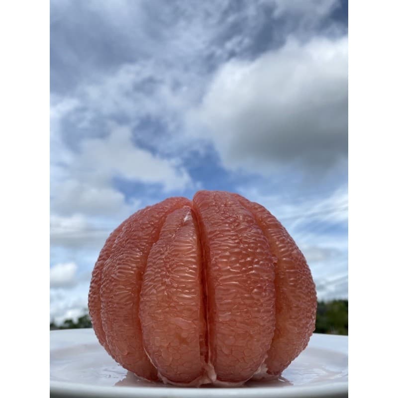 ส้มโอทับทิมสยาม น้ำหนัก1.5-1.6ก.ก กล่องละ3ลูก รูปที่ 3