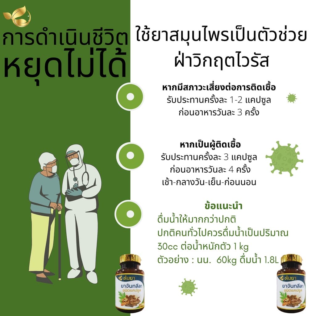 แก้ไอ ไอเรื้อรัง ละลายเสมหะ ใช้ จันทลีลา ขนาด 500mg จำนวน 60 แคปซูล รูปที่ 6