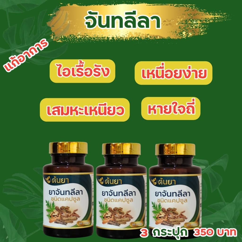 แก้ไอ ไอเรื้อรัง ละลายเสมหะ ใช้ จันทลีลา ขนาด 500mg จำนวน 60 แคปซูล รูปที่ 2