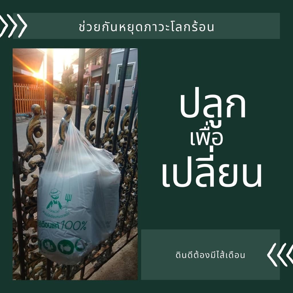 เบดดิ้งเลี้ยงไส้เดือน ปุ๋ยหมัก ขี้วัวนมหมัก ปุ๋ยคอกหมัก ปุ๋ยขี้วัวนม ที่อยู่ไส้เดือน รูปที่ 6