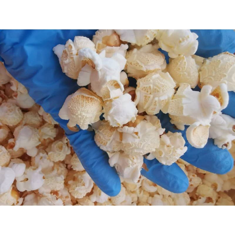 Airpop Popcorn รสธรรมชาติ plain ไม่ใช้น้ำมันหรือเนยในการป๊อบข้าวโพดพันธ์ุเห็ดกลมแน่นอน รูปที่ 3
