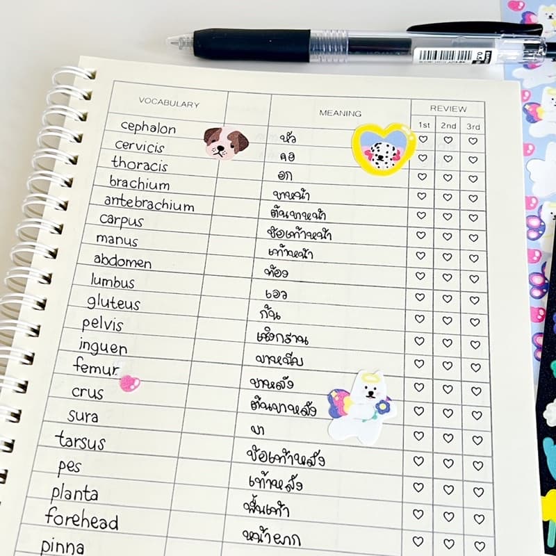 vocabulary v.2 | สมุดจดศัพท์ จดได้ 3000+ คำ รูปที่ 4