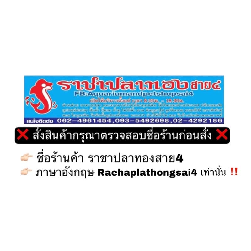อาหารปลาพรีม่า เม็ดจม PRIMA Super Premium Fish Food SpirulinaUP 12% รูปที่ 2