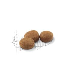 Royal Canin Sterilised 2Kg / 4kg อาหารแมว สูตรแมว ทำหมัน ควบคุมพลังงาน 2 kg / 4 kg รูปที่ 6