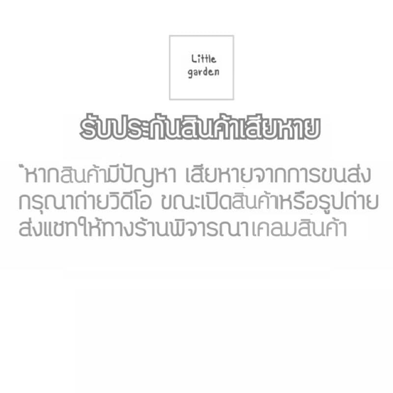 Little กระถางต้นไม้ 10.5 นิ้ว 6 นิ้ว 8 นิ้ว 5.5 นิ้ว 4 นิ้ว 3 นิ้ว รูปที่ 7