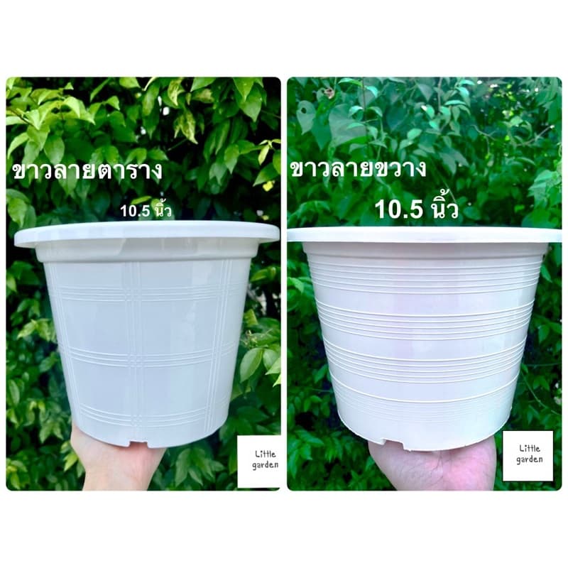 Little กระถางต้นไม้ 10.5 นิ้ว 6 นิ้ว 8 นิ้ว 5.5 นิ้ว 4 นิ้ว 3 นิ้ว รูปที่ 6