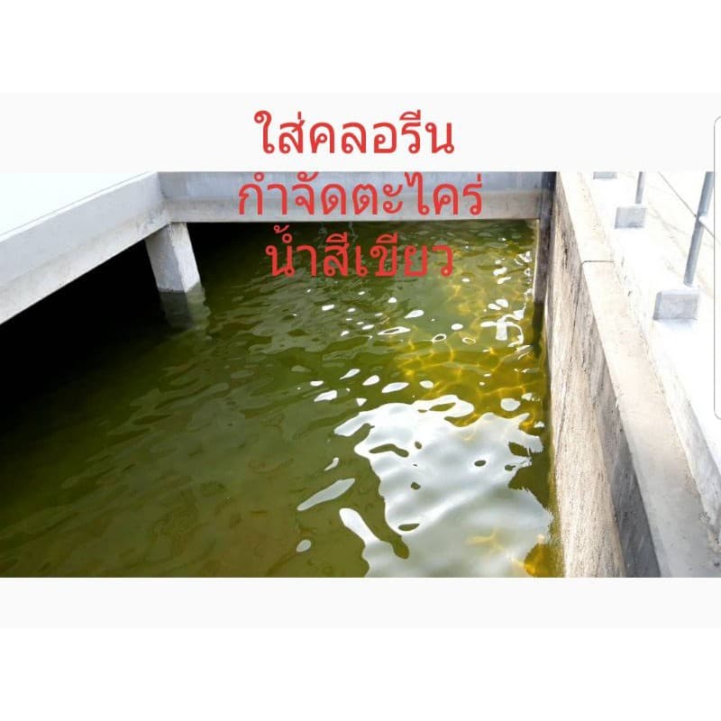 คลอรีนน้ำ10% รวมถัง20กก ยี่ห้อราชาชูรส มี มอก. ใบรับรองครบ สระว่ายน้ำ ฆ่าเชื้อโรค มีเอกสารตรวจออดิต รูปที่ 6