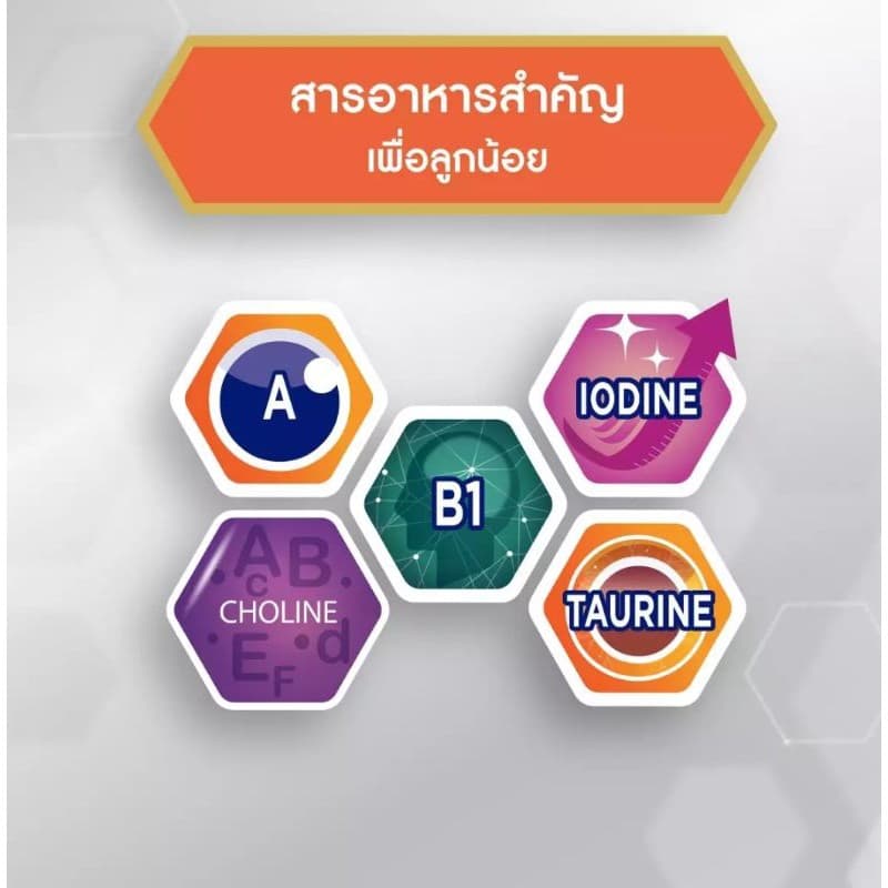 นมผง เอนฟาโกร สมาร์ท รสจืด ขนาด 2850 กรัม สำหรับเด็กอายุ 1 ปีขึ้นไป รูปที่ 4