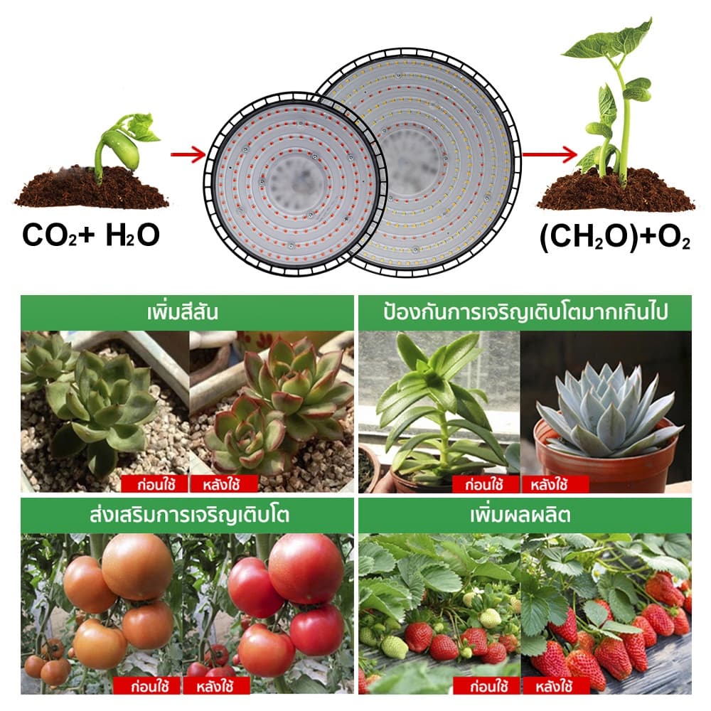 ไฟช่วยต้นไม้ตัวเร็ว AC220V Full Spectrum Grow Light LED 200W UFO กันน้ำ ไม่กลัวฝนและหมอก ไฟเลี้ยงต้นไม้โตเร็ว2เท่า รูปที่ 8