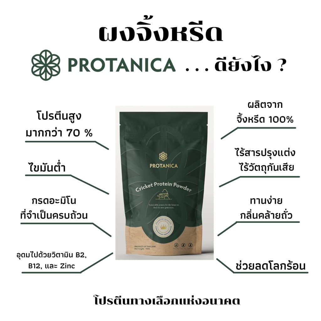Protanica ผงโปรตีนจิ้งหรีด รูปที่ 2