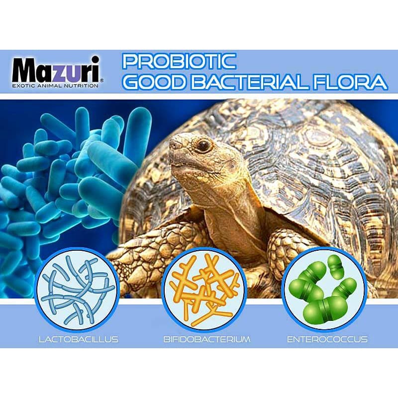 Mazuri 5E5L มาซูริ อาหารเต่าบก ซูคาต้า Sulcata รูปที่ 6
