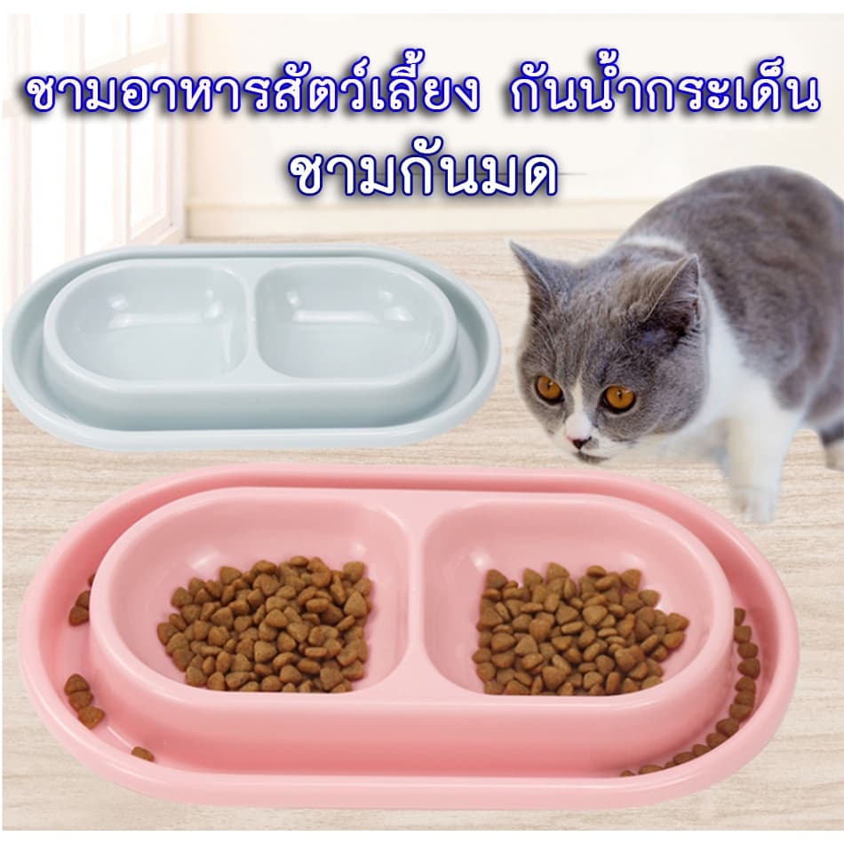 AL-222 ชามกันมด ชาม2หลุม ชามข้าวสุนัข หมา แมว ที่ให้อาหาร ที่ให้น้ำสัตว์เลี้ยง รูปที่ 1