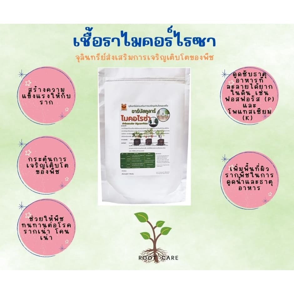 เชื้อราอาร์บัสคูลาร์ไมคอร์ไรซ่า เพิ่มพื้นที่ผิวรากขนาดบรรจุ500กรัมและ1กิโลกรัม รูปที่ 2