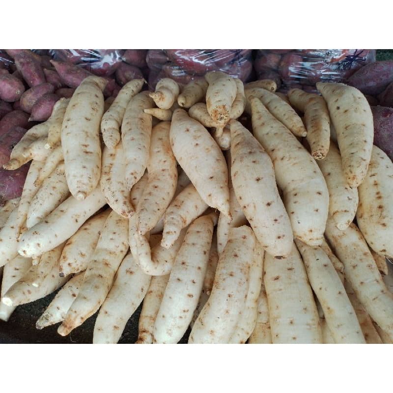 มันเทศหวาน●เกรดA●คัดสวย●แพ็กละ1กก. รูปที่ 3