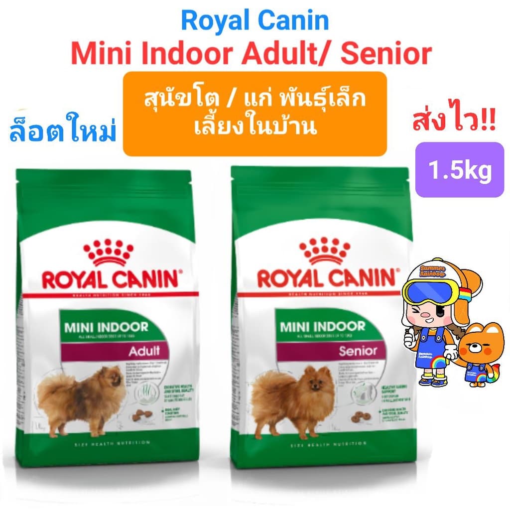 Royal Canin Mini Indoor Adult 1.5kg / Royal Canin Mini Indoor Senior โรยัลคานิน สุนัขพันธุ์เล็ก เลี้ยงในบ้าน รูปที่ 1