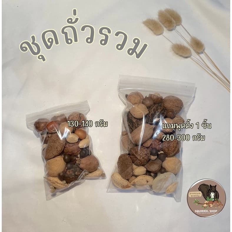 ชุดถั่วรวมเมล็ดทุกอย่างที่ อาหารกระรอก กระต่าย แพรี่ นก หนู สัตว์เลี้ยงที่กินธัญพืชได้ทุกชนิด รูปที่ 1
