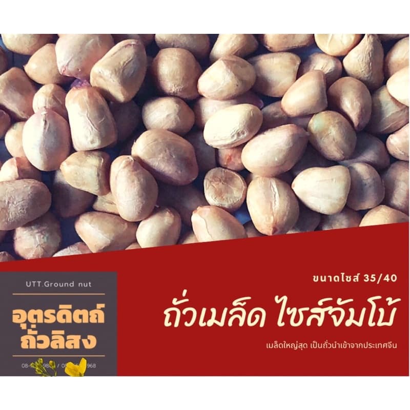 ถั่วลิสงจีน ไซส์จัมโบ้ ยกลัง 25 กก. รูปที่ 3