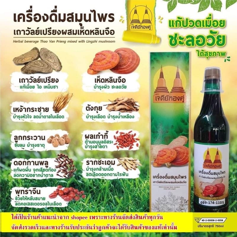 1ลัง เครื่องดื่มสมุนไพรเถาวัลย์เปรียงผสมเห็ดหลินจือตราเจดีย์ทองคู่ของแท้รับประกัน รูปที่ 4