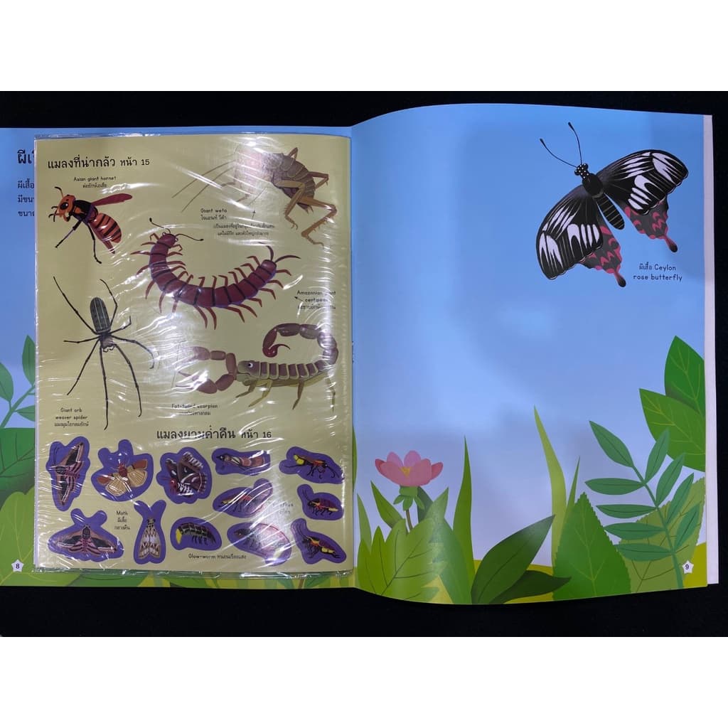 Aksara for kids หนังสือเด็ก สนุกกับการติดสติกเกอร์ แมลง รูปที่ 5