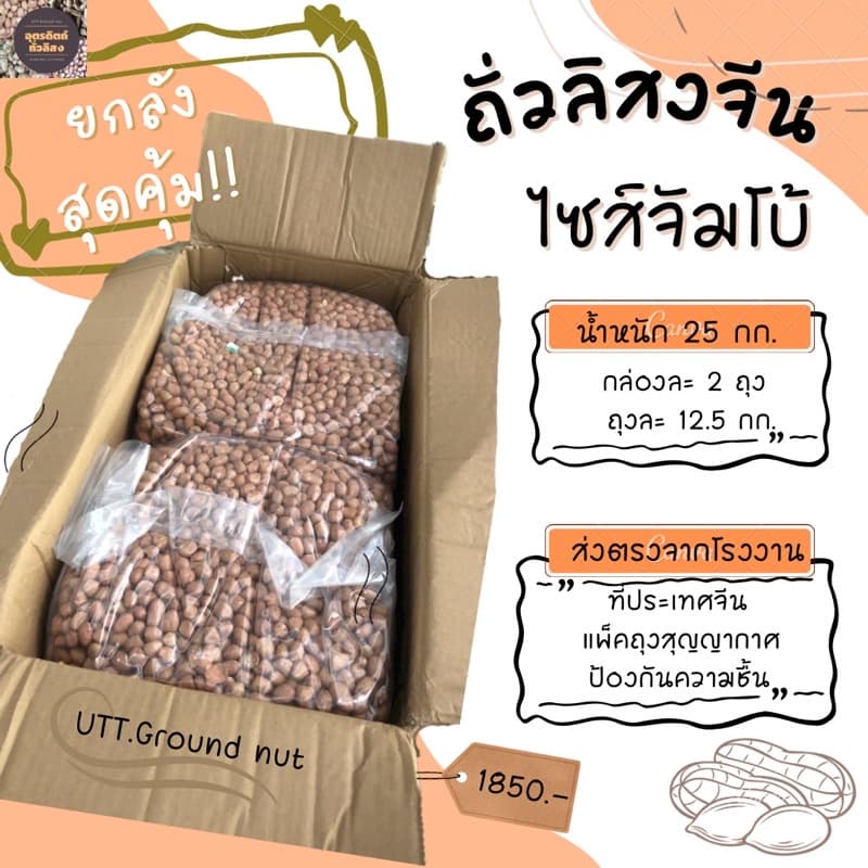 ถั่วลิสงจีน ไซส์จัมโบ้ ยกลัง 25 กก. รูปที่ 2