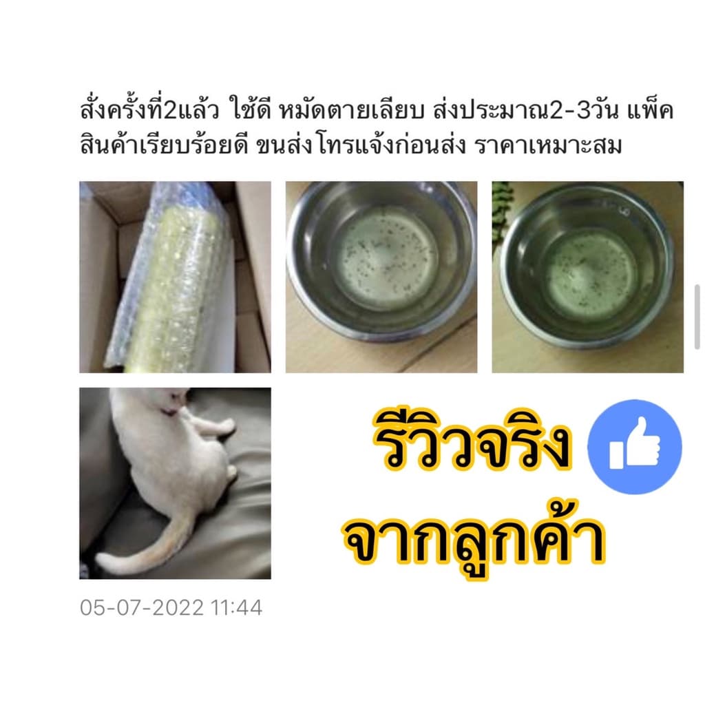 แชมพูแอนตี้ติคพลัส แชมพูหมาแมวกำจัดเห็บหมัด anti-tick plus shampoo สัตวแพทย์แนะนำ แชมพูสัตว์จุฬา แชมพูสุนัขกำจัดเห็บ แมว รูปที่ 3