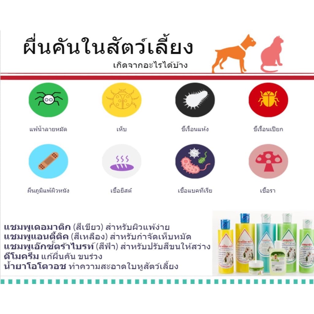 แชมพูแอนตี้ติคพลัส แชมพูหมาแมวกำจัดเห็บหมัด anti-tick plus shampoo สัตวแพทย์แนะนำ แชมพูสัตว์จุฬา แชมพูสุนัขกำจัดเห็บ แมว รูปที่ 9