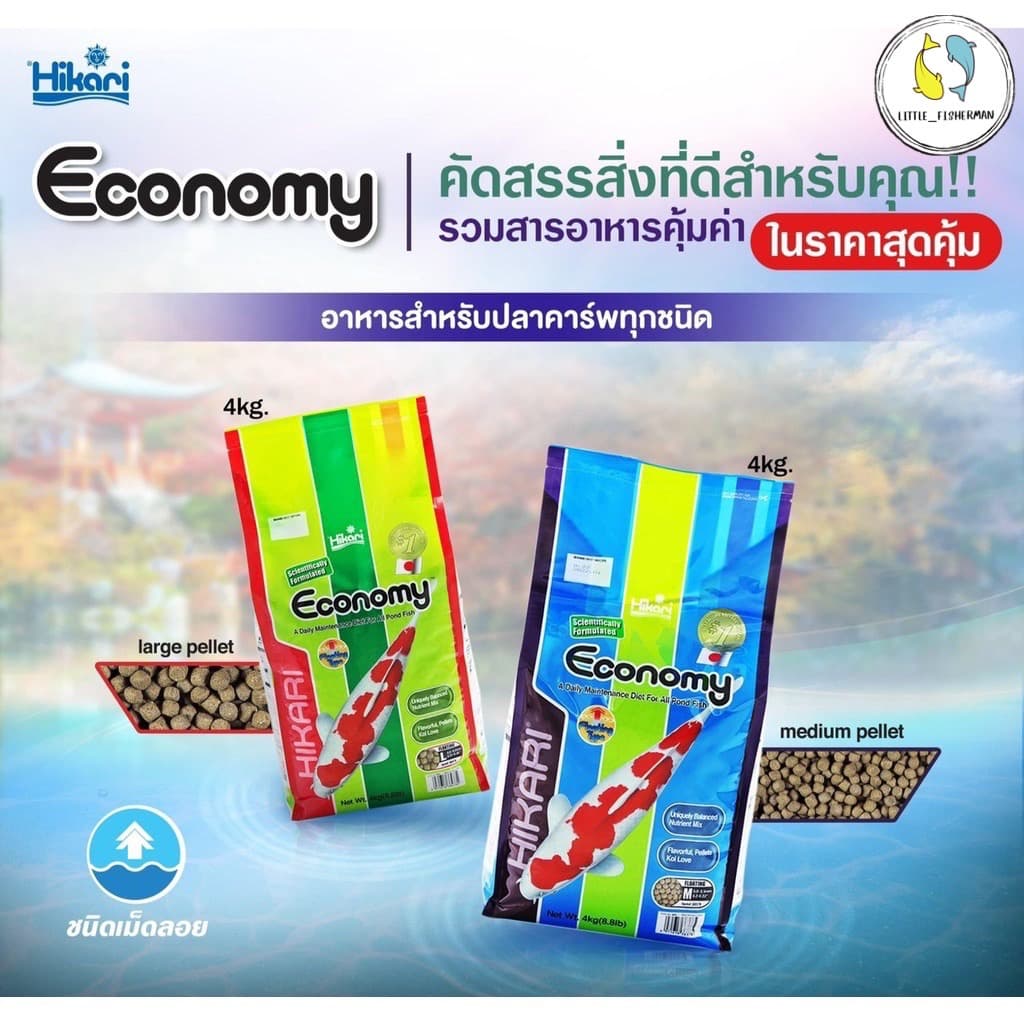 Hikari Economy เม็ดลอย 4kg. อาหารปลาคราฟ ฮิคาริ อีโคโนมี่ Koi รูปที่ 3