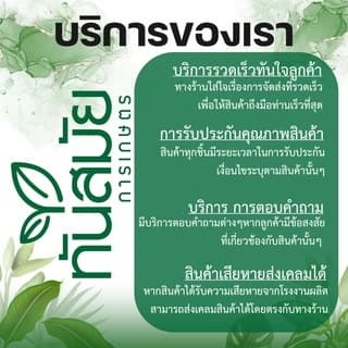 สปริงครัช GX35 สปริงครัช เครื่องตัดหญ้า GX35 CG328 T200 รับประกันคุณภาพ 4 จังหวะ รูปที่ 9