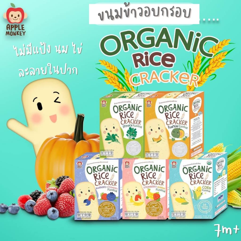 APPLE MONKEY แอปเปิ้ลมังกี้ ขนมเด็ก 8 เดือนขึ้นไป รูปที่ 3