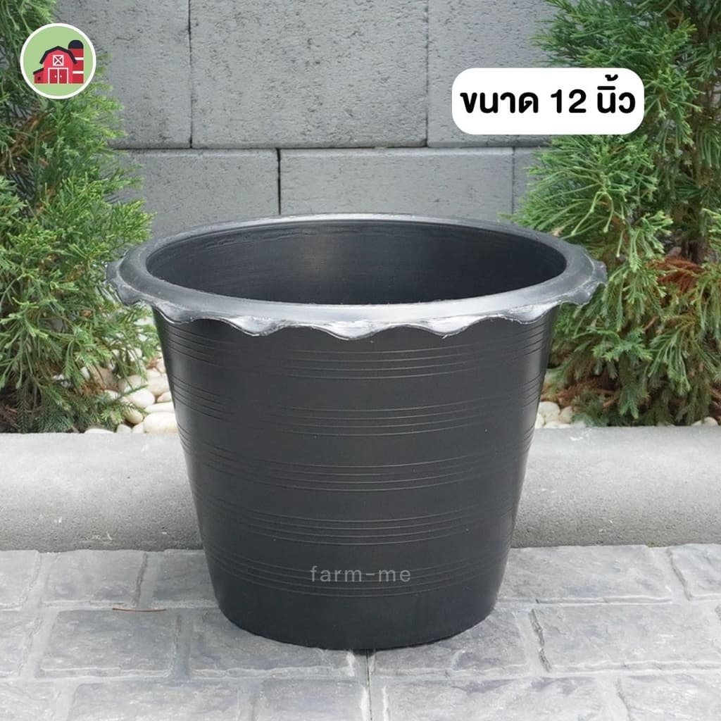 กระถางบัว กระถางปลูกบัว กระถางพลาสติก 10-12นิ้ว รูปที่ 4