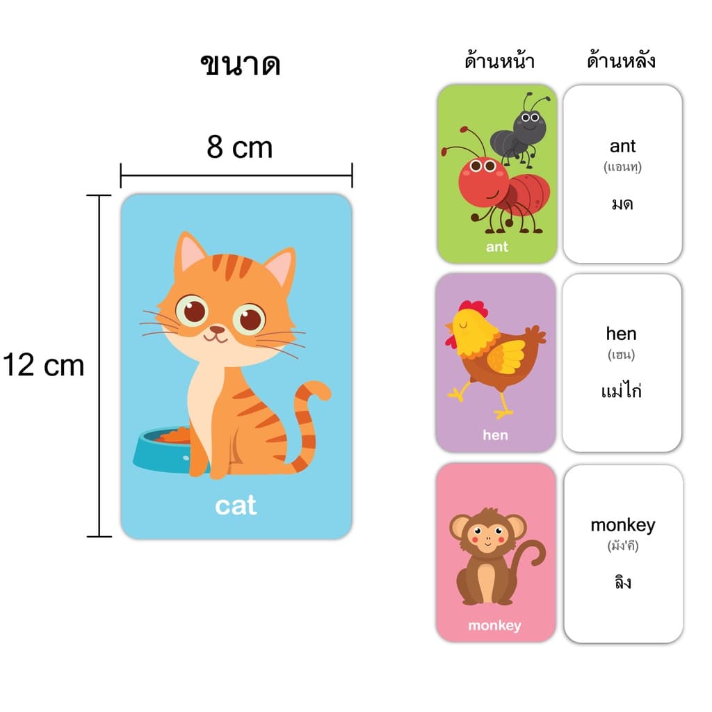 บัตรภาพชุดสัตว์ แฟลชการ์ด การ์ดคำศัพท์ขนาด 8x12 ซม.มุมมน รูปที่ 5