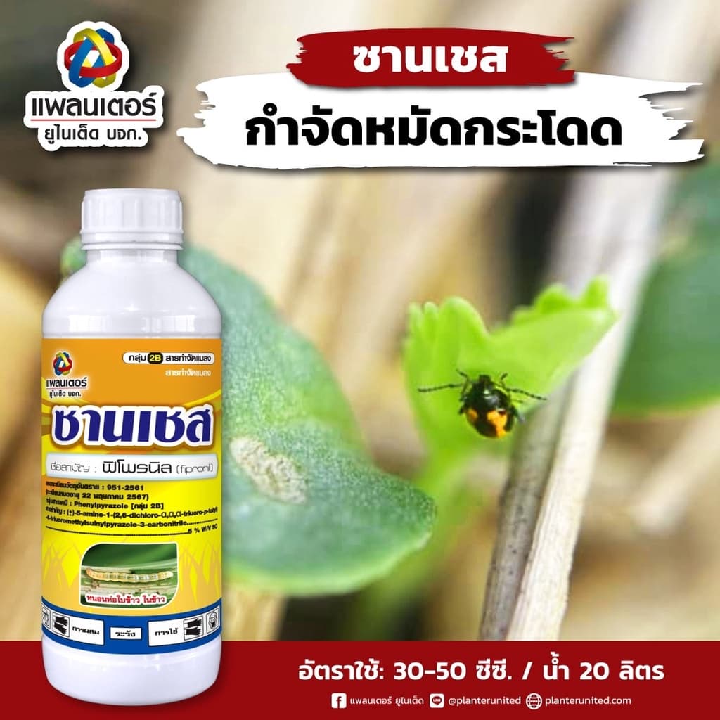 ซานเชส กำจัดปลวก มด หนอน เพลี้ย ด้วงอ้อย แมลงทุกชนิด สูตรเย็นฯลฯ ตามบ้านเรือน สวนไร่นา ไร้กลิ่น ไม่รัด ไม่กัดนวล รูปที่ 3