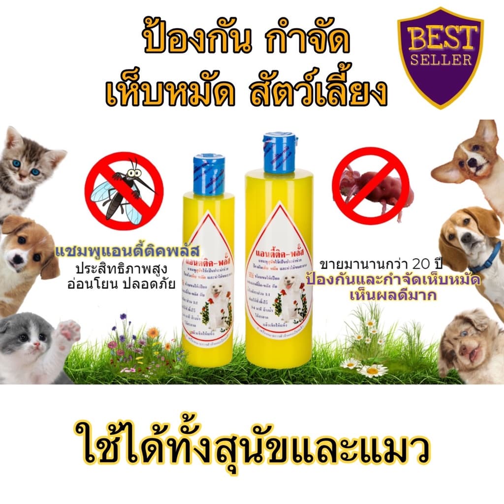 แชมพูแอนตี้ติคพลัส แชมพูหมาแมวกำจัดเห็บหมัด anti-tick plus shampoo สัตวแพทย์แนะนำ แชมพูสัตว์จุฬา แชมพูสุนัขกำจัดเห็บ แมว รูปที่ 1
